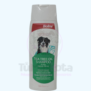 Shampoo tea tree oil