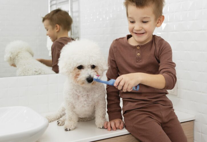 Porque es importante la limpieza dental en los perros