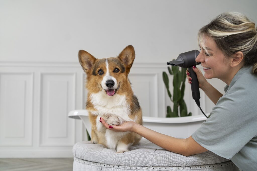 Cómo detectar problemas de salud en la piel y el pelo de tu perro