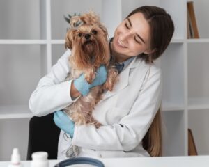 Consejos para que tu perro disfrute su tiempo en la peluquería